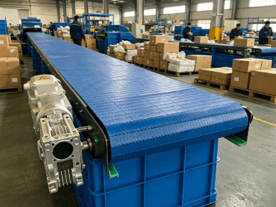 How to Choose: Chain Conveyor vs Belt Conveyor