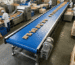 Why Use Food Conveyor Systems in Processing?