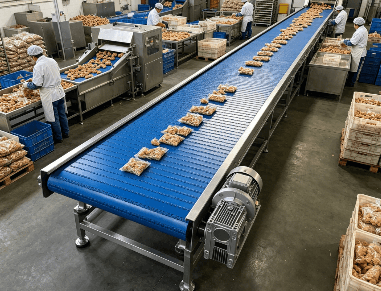Why Use Food Conveyor Systems in Processing?