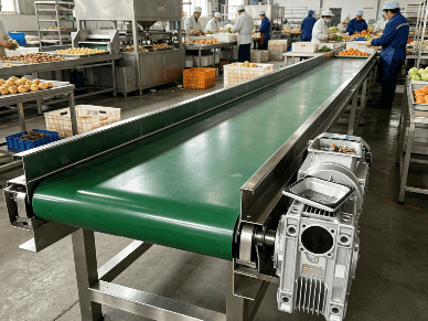 Straight Conveyor vs Turning Conveyor: A Full Guide