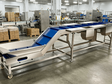 Common Conveyor Belt Problems: A Technical Guide