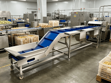 How to Improve Conveyor Efficiency in Production Lines: An Engineering Guide