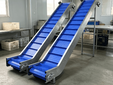 hoist conveyor-1