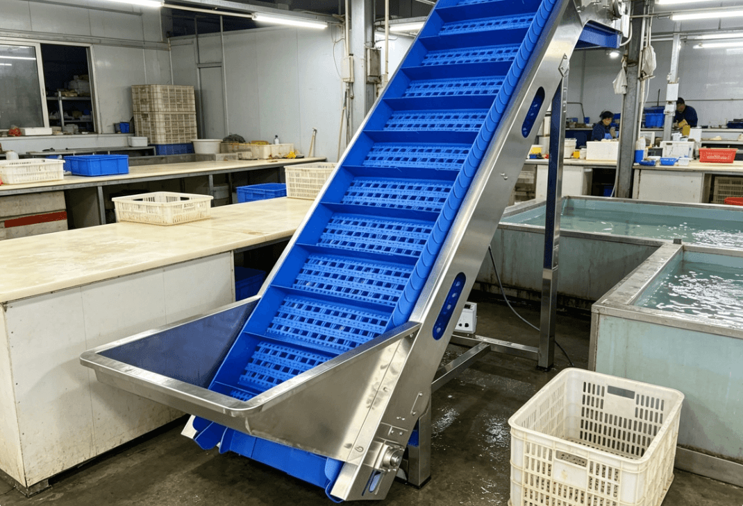 hoist conveyor-2